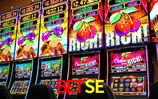 BETSE DOWNLOAD
